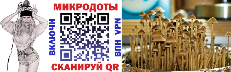 Псилоцибиновые грибы Cubensis  что такое   Карабаш 